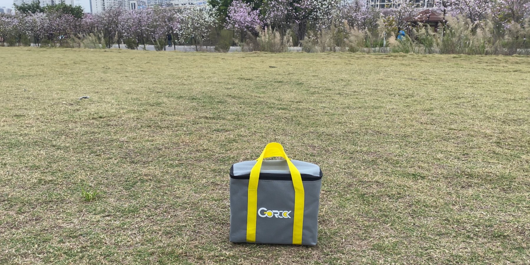 A GOROCK carry bag standing on open grass before a game is set up